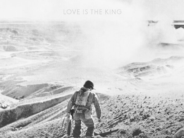 Jeff Tweedy – Love Is The King